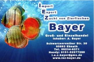 IEZ-Bayer.jpg