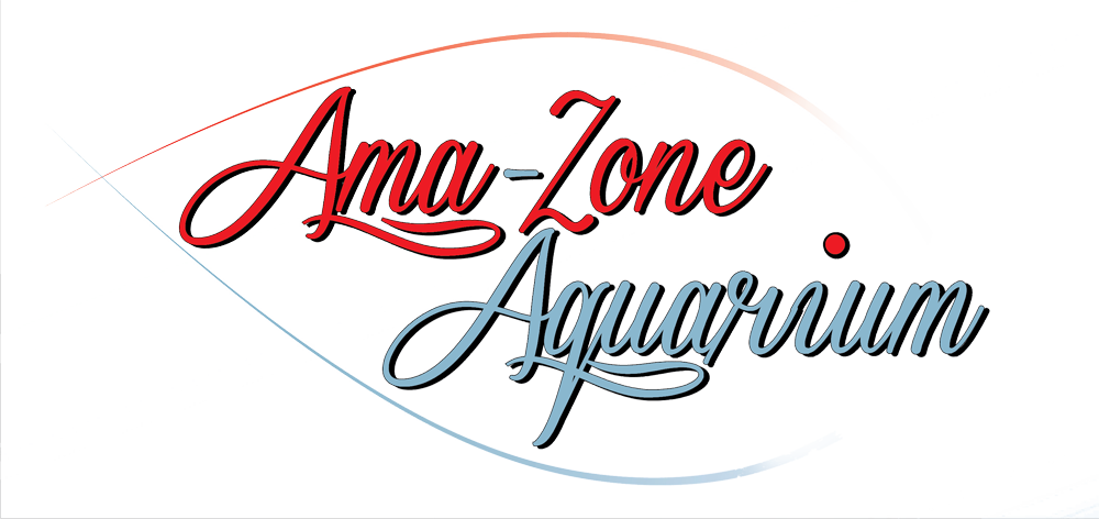logo_amazone.png
