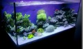 Alfred-10-120x72.jpg