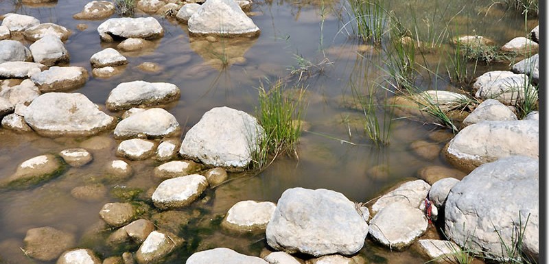 N17-800x385.jpg