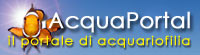 Acqua Portal