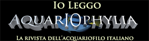 Aquariophylia