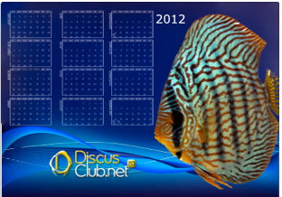 Calendario 2012 intero