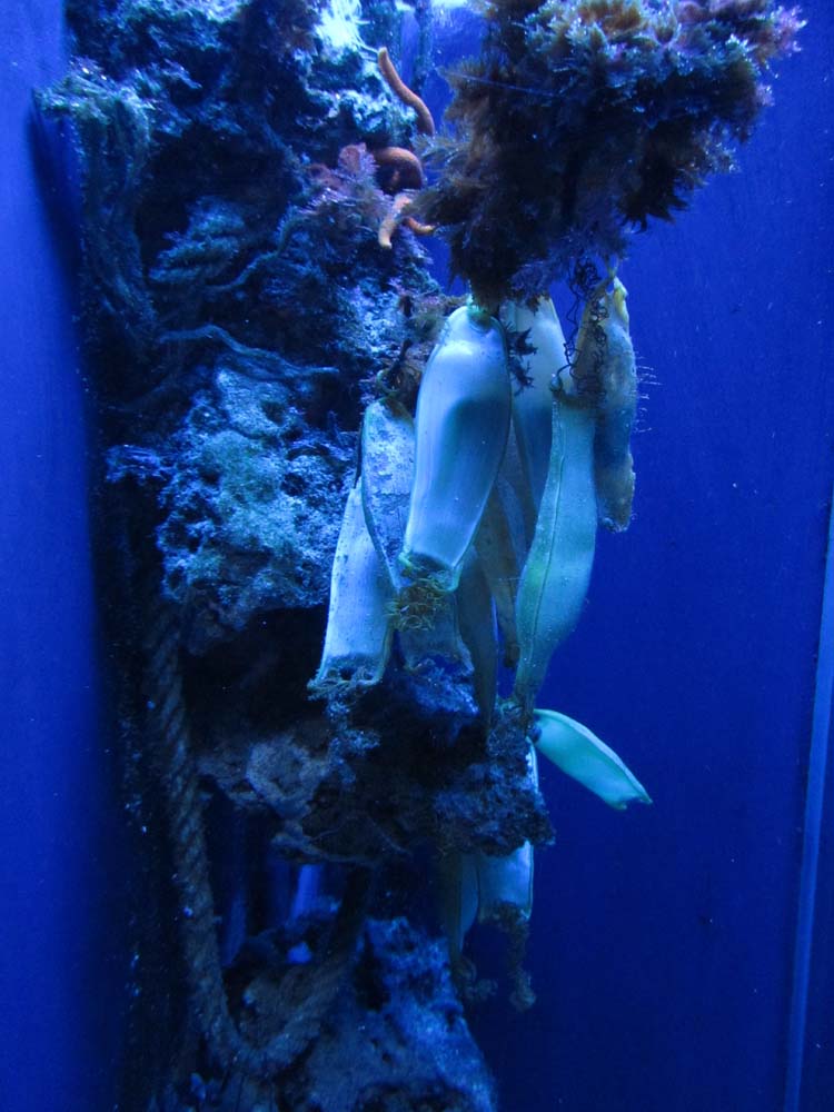 IMG 4899