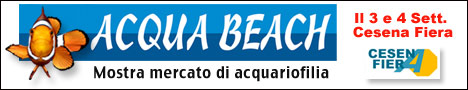 acquabeach_468.jpg