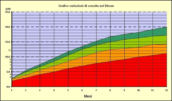 grafdiscus3-1-574x339.jpg