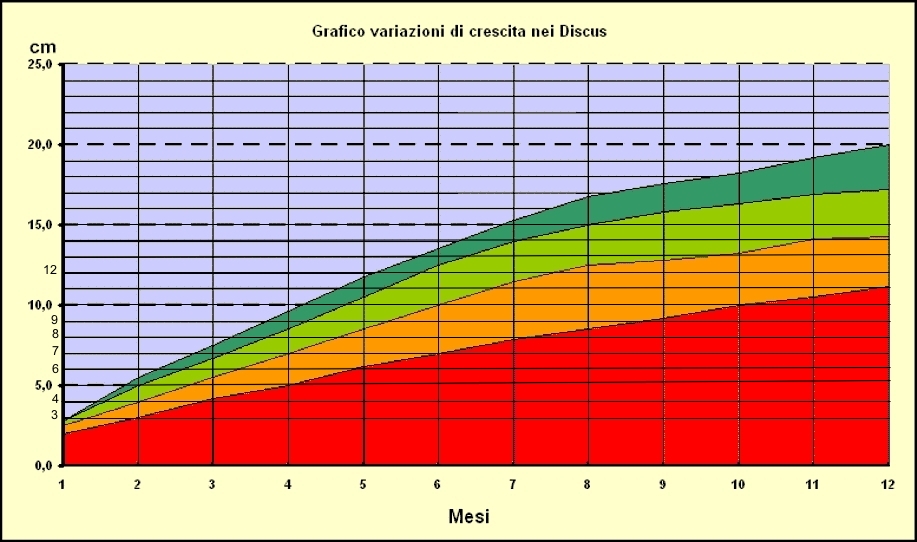 grafdiscus3-1.jpg