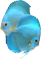 image19.png
