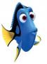 Dory