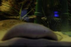 DSC 0185