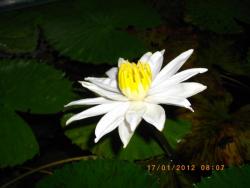 th_IMGP1166.JPG