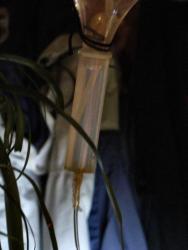 post-1639-0-66559500-1325438566_thumb.jpg