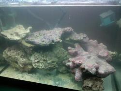 31012012231 (Medium).jpg