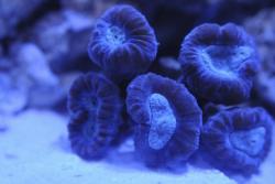 DSC_7288.jpg