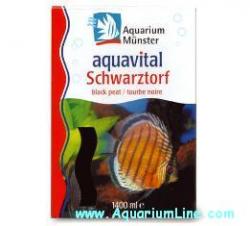 aquarium_munster_schwartztorf_sFNUtbk2yrpF_large.jpg
