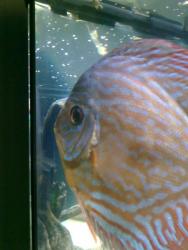 08072011280.jpg