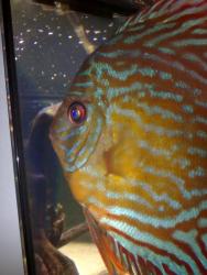 08072011279.jpg