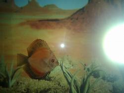 05052011354.jpg
