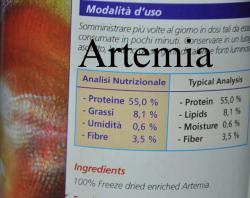 artemia.jpg