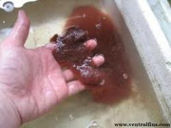 post-1266-047460400 1287170340_thumb.jpg