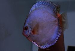 DSC_0298_l.jpg