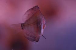 DSC_0167_l.jpg