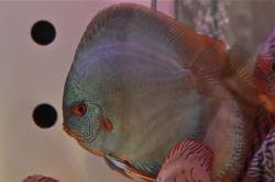 DSC_0051_l.jpg