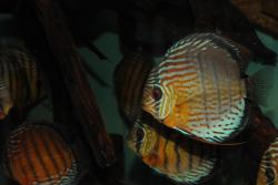 DSC_5773.jpg