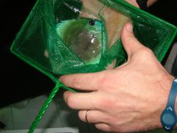 DSCF1705.JPG