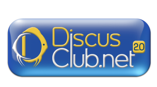 Discus Club 2.0  -  Forum