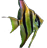 altum_icon.png