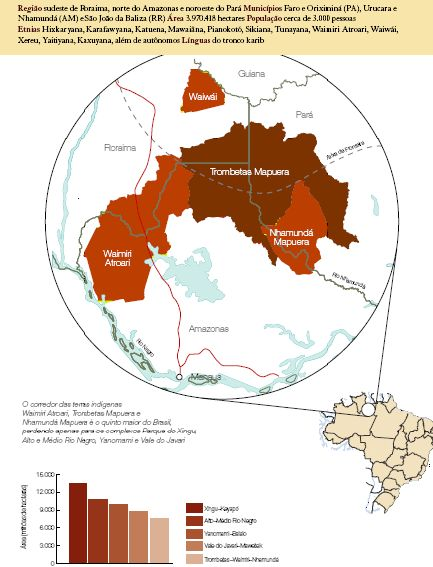 trombeta_pauera_nhamunda.jpg