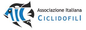 AIC logo