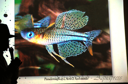 [Discusday 2012]Il meraviglioso mondo dei pesci di Heiko