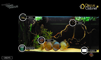 L’acquario Interattivo – creazione di Roberto Carlini