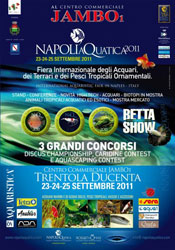 Locandina Ufficiale NapoliAquatica 2011