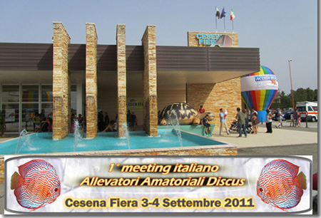 Acquabeach Cesena: 1° Meeting Allevatori Amatoriali Discus (MAAD)