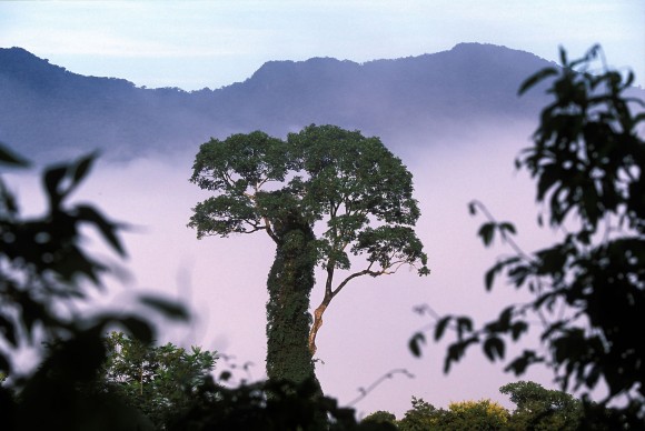 ...ecco quello che si aveva ai bordi della strada pericolosissima: nebbia...