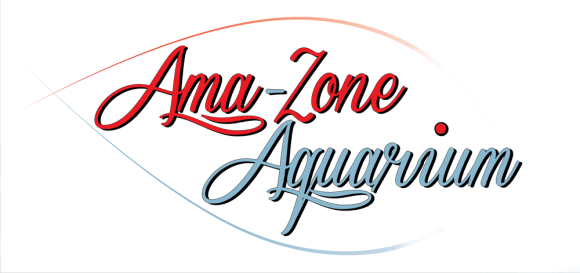 logo_amazone