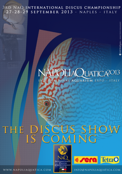 NaQ2013 - Discus Show