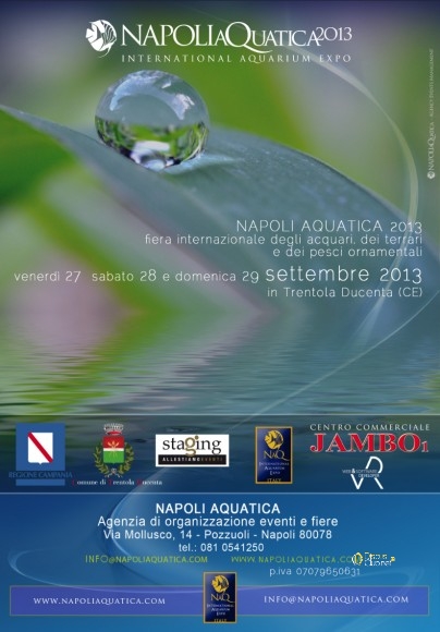 NaQ2013_brochure_ITA-8