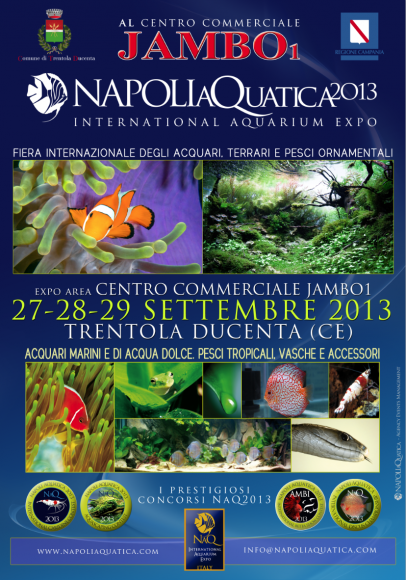 NaQ2013_locandina_it