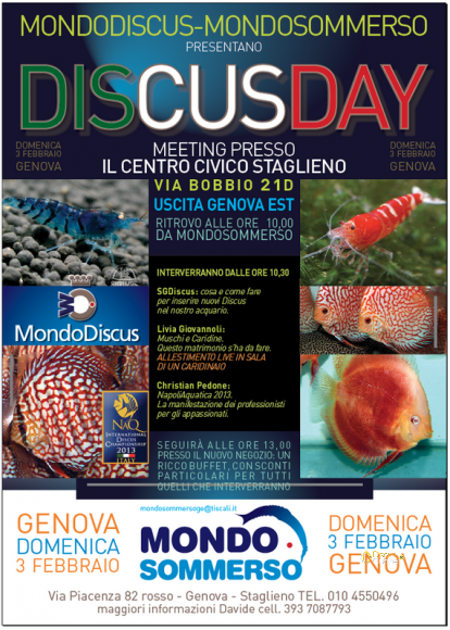 Locandina Ufficiale DISCUSDAY 2013