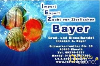 IEZ-Bayer