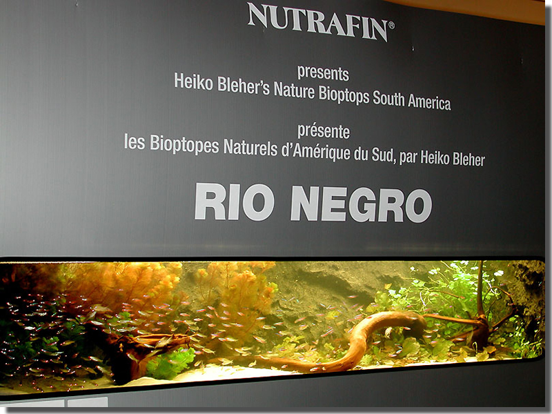 Biotope-Aquarium-of-H blehe
