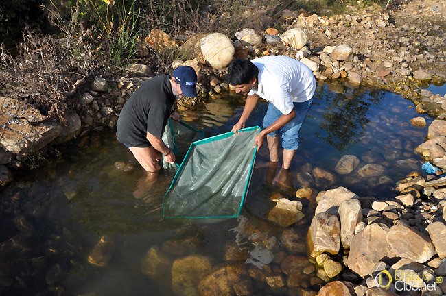 11.-and-found-in-it-only-few-fishes-which-had-been-trapped-trying-to-survive India_Jan.2009