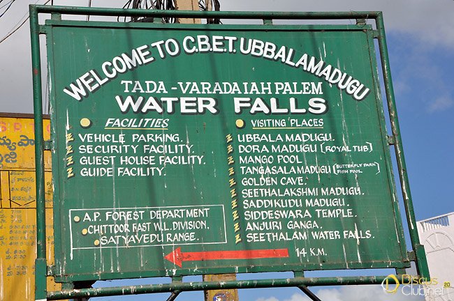 16.and-this-is-taking-place-in-a-park-e-protected-area-here-at-the-Waterfall-region India_Jan.2009_N.Khardina