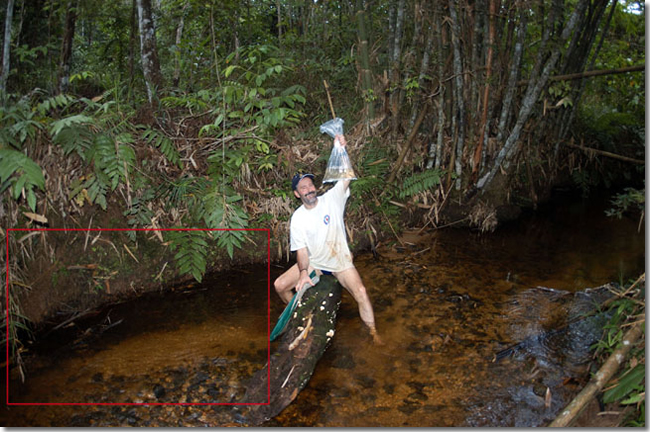 25 Sungai-Mungkat_Western-Kalimantan_Borneo_H.Bleher-with-the-collected-fish-H